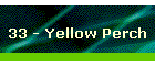 33 - Yellow Perch