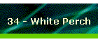 34 - White Perch