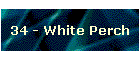 34 - White Perch